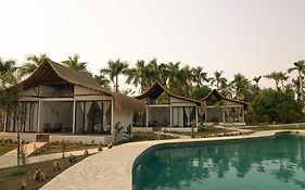 Coral De Fuego Isla Fuerte